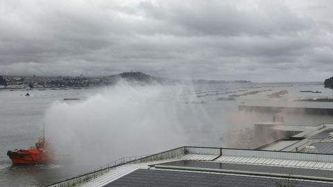 Gran despliegue de medios para realizar el simulacro