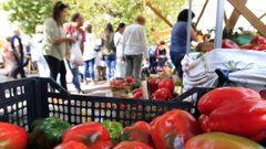 La clausura de las ferias, al igual que la cierre de la hosteler�a, ha abierto un profundo agujero en la econom�a de muchos productores