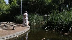 Los ourensanos buscan refugio en zonas verdes (en la imagen, el campus) para combatir la ola de calor.