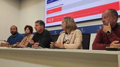 Rueda de prensa del PSOE este martes en la Diputaci�n de Ourense.