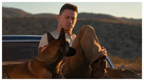 Fotograma del filme �Dog. Un viaje salvaje�.