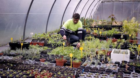 El EME cuenta con una superficie de 16.000 metros cuadrados, en donde se pueden ver plantaciones en el exterior, y tambi�n varios invernaderos que permiten mantener los cultivos.
