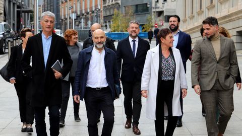 Matute (Bildu), Rego (BNG), Aizpurua (Bildu) y Rufin (ERC), de izquierda a derecha