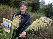 Hern�ez resalta la ausencia de productos �del pa�s� en los establecimientos comerciales. 