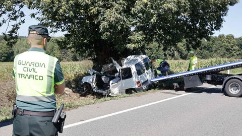 Accidente mortal en la N-640. Un fallecido al salirse con su furgoneta de la v�a