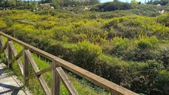 Parceala donde se plantea la construcci�n del instituto en Nuevo Roces