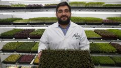 El emprendedor Daniel Barbeito cre� en Portonovo un huerto interior y vertical en el que cultiva hasta 16 variedades de brotes vegetales