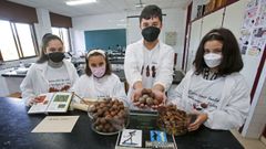 Cuatro de los 60 alumnos del IES Lu�s Seoane de Pontevedra que participar�n en el proyecto sostenible alrededor del carballo de Santa Margarita, con bellotas y agallas