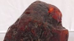 La piedra de mbar pesa 3,5 kilos y es la mayor tamao de su clase en el mundo