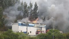 Incendio en Celeiro, Viveiro