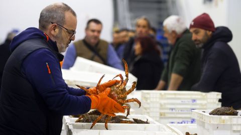 Subasta de marisco, este jueves, en la lonja de O Grove