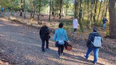 Participantes en una ruta micolgica organizada por el consorcio de turismo de la Ribeira Sacra dentro de su programa de otoo
