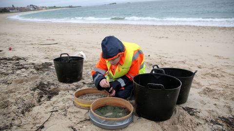 TRABAJADORES CONTRATADOS POR LA ARMADORA DEL TOCONAO LIMPIAN LA PLAYA DE O CASTRO DE PELETS