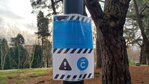 Carteles advirtiendo a los dueños de perros de la plaga de la procesionaria en el parque de Santa Margarita