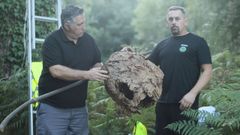 Abelardo Cano, a la izquierda, especialista andaluz en control de plagas, se form en Viveiro con Jos Mara Vzquez, de Serpa, sobre el exterminio de velutinas