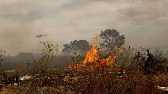 Incendio registrado esta semana en O Carqueixo, en Lugo, al que acudieron medios de Lugo y brigadas de Ancares y A Fonsagrada
