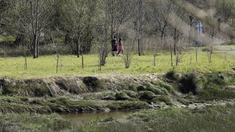 Parque pontevedrs de A Xunqueira da Gndara, declarado ENiL en el 2012