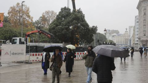 Traslado del metrosidero del Cant�n Grande