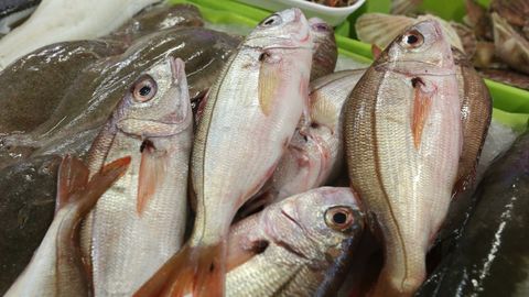 A los besugos tambi�n los llaman ollomoles en Galicia