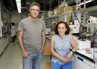 Jos� Luis Mascare�as y Dolores P�rez en uno de los laboratorios del Ciqus, esta semana. 