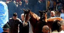 Miles de personas acuden a Teo para presenciar la feria caballar de las fiestas de San Marti�o