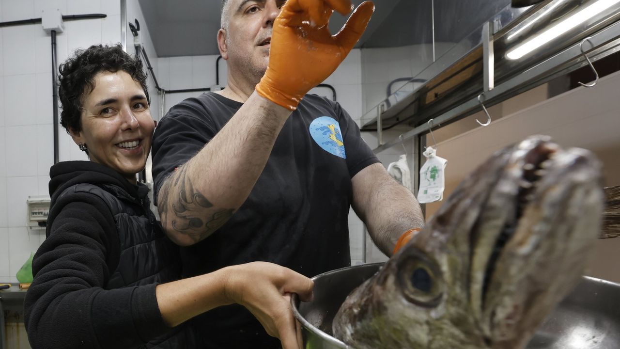 Los ciudadanos ya pueden descargar el Bono Peixe