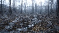 Desbordamientos y calles anegadas, as� ha sido el paso de Ana por Pontevedra