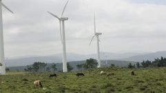 Un parque e�lico en As Pontes, en foto de archivo