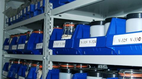 Material almacenado en el banco de semillas 