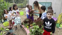 Escolares del colegio de O Casti�eiri�o recogieron los frutos del huerto del colegio, que prepararon con Voz Natura, los �ltimos d�as del curso