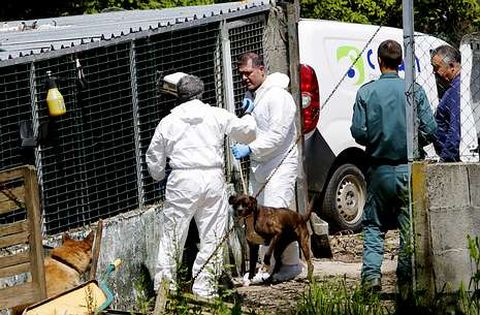 T�cnicos de la empresa el d�a que se llevaron a los animales de la perrera de Vincios.