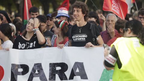 Manifestacin en favor de Palestina en A Corua
