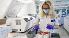 Personal de laboratorio prepara las muestras para ser analizadas con PCR