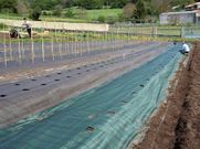 Os cultivos ext�ndense, polo de agora, en 4.000 metros