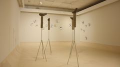 Exposicin de los hermanos Xabier y Jorge Varela, en el campus de Ourense