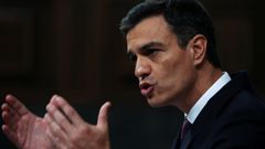 Pedro S�nchez presenta su plan de gobierno en el Congreso