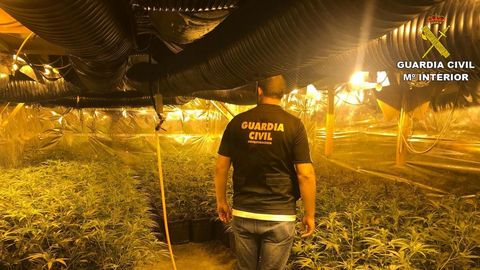 Imagen de archivo del desmantelamiento de una plantaci�n de marihuana