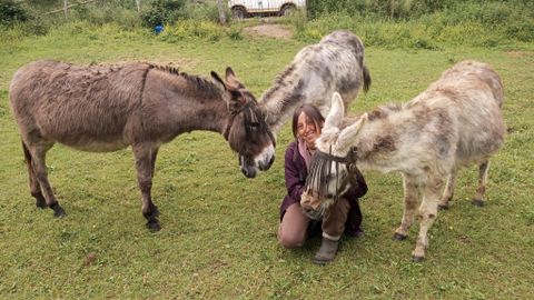 Isabel Quirs con sus tres burros