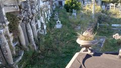 La maleza ha invadido todo el cementerio de San Pedro de Muros