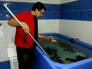 Insua sost�n un lumbrigante nas s�as instalaci�n en Fisterra.