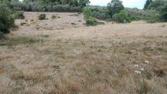 Estado en el que estaba ayer un prado en el concello de Vilardev�s.