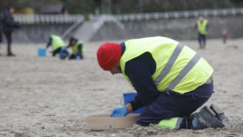 Operarios de TRAGSA recogen pellets de plstico, en la playa de Aguilar, a 9 de enero de 2024, en Muros de Naln, Asturias (Espaa). El Principado de Asturias ha activado el nivel dos de emergencia por el vertido de pellets de plstico en las playas de la regin.