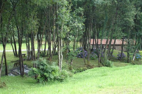 El sendero discurre al lado del r�o Pontellas, en Cerdido