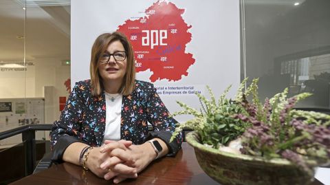 Sonia Acua, secretaria general de laAsociacin Intersectorial e Interterritorial de Autnomos e Pequenas Empresas de Galicia (APE Galicia).