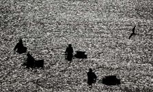 Cada vez, m�s j�venes buscan en el mar las oportunidades que no logran encontrar en tierra.