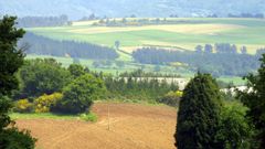 Imagen de archivo de un paisaje agrario gallego