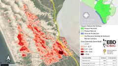 Mapa de severidad del incendio en Do�ana