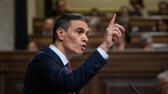 Pedro S�nchez, en un momento de su intervenci�n en el debate de investidura.