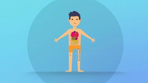 Consiguen visualizar la met�stasis del melanoma antes de que se produzca