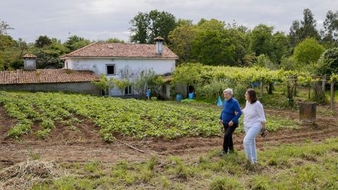 El molino de Amenad�s, en Nar�n, en im�genes